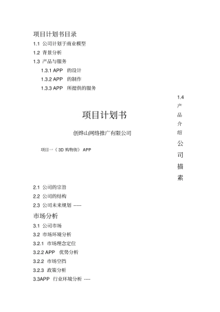 某网络推广有限公司项目计划书