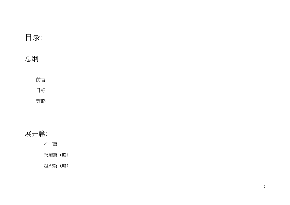 某酒上推广方案_第2页