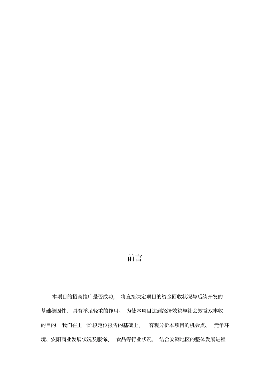 某都领地招商推广方案措施_第2页