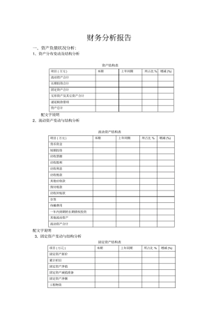 某集团公司财务分析模板