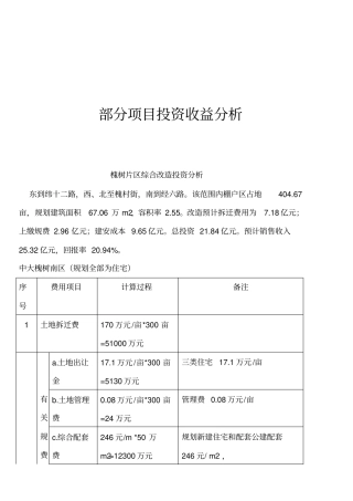 某项目投资收益分析