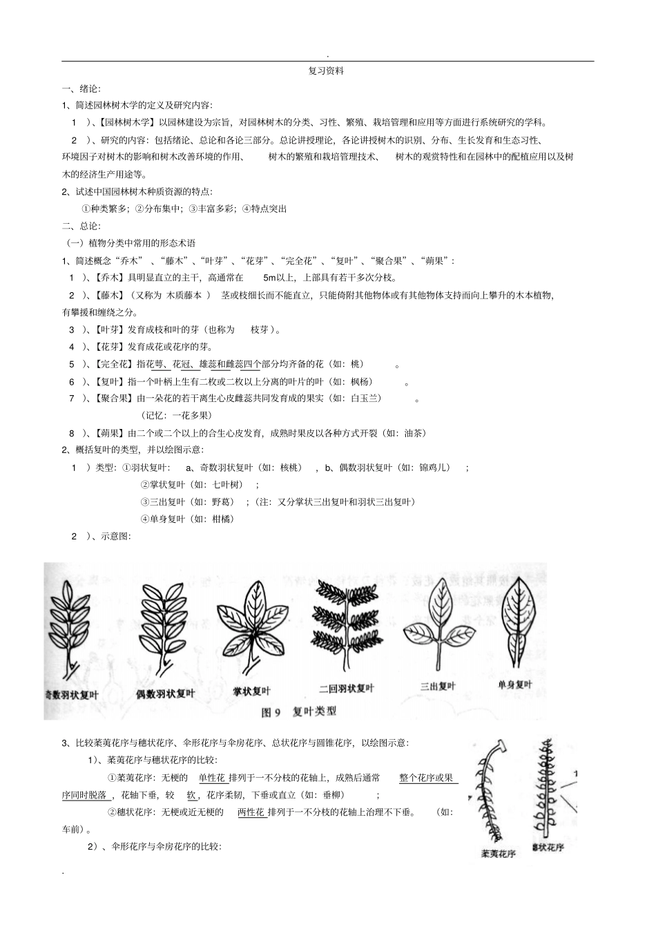 树木学知识整理_第1页