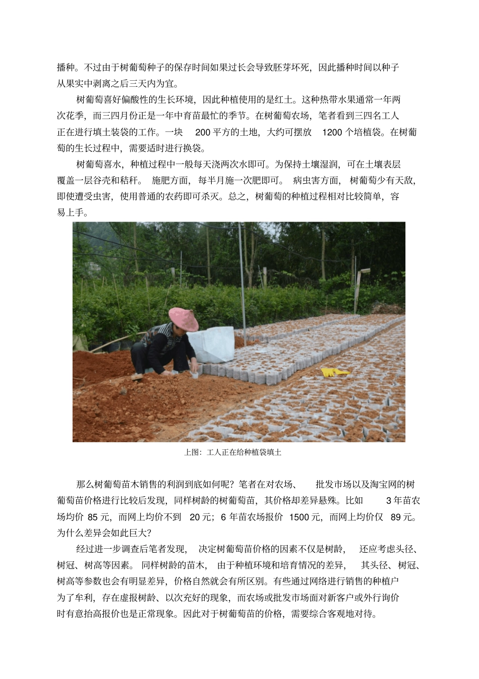 树葡萄场调查报告_第2页