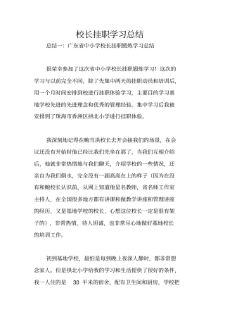 校长挂职学习总结