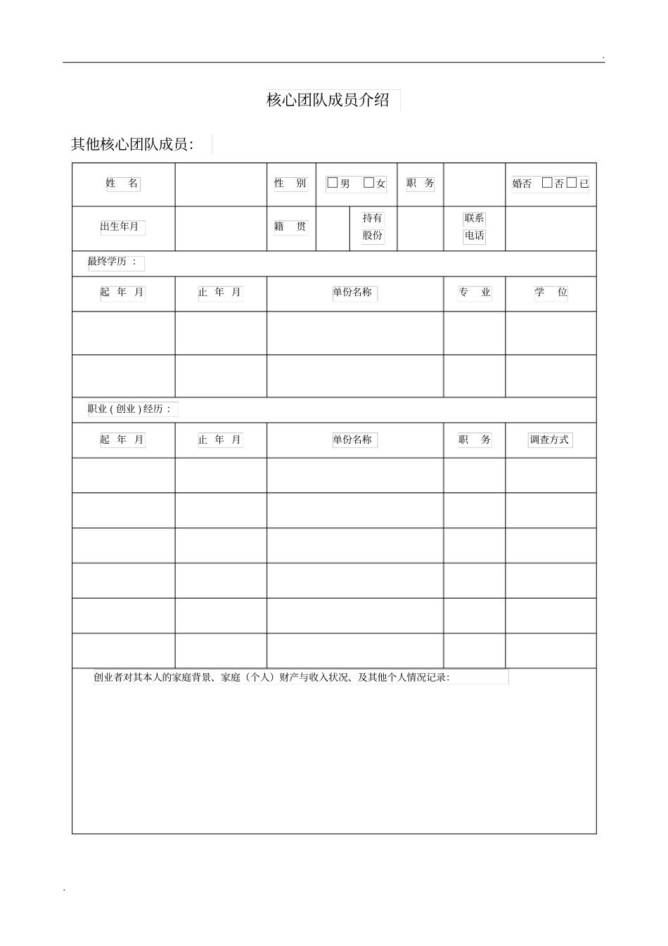核心团队成员介绍_第2页