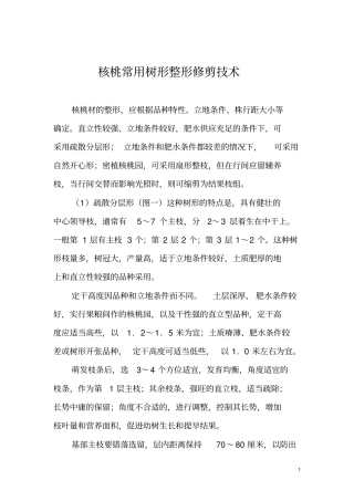 核桃树整形修剪技术资料