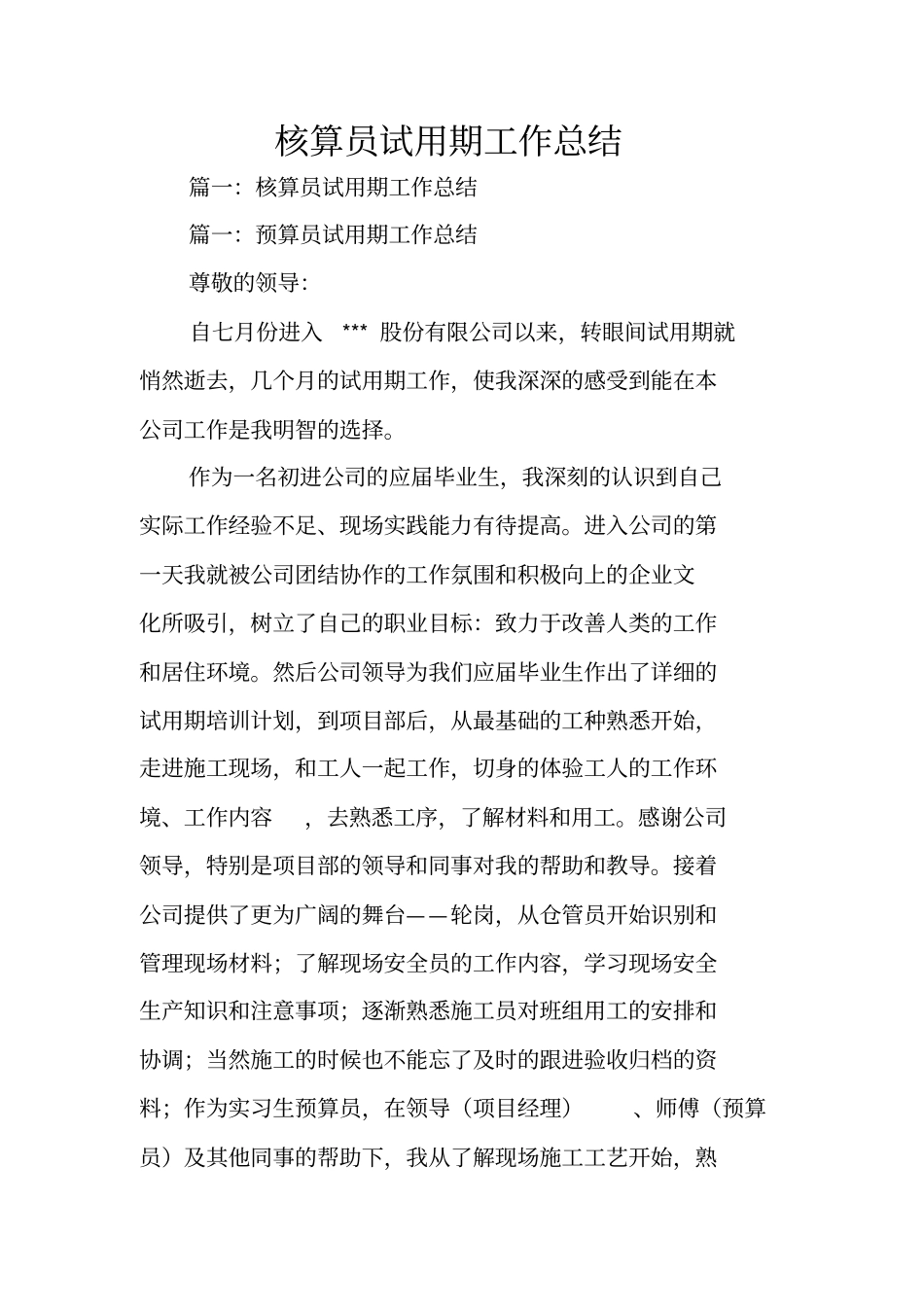 核算员试用期工作总结_第1页