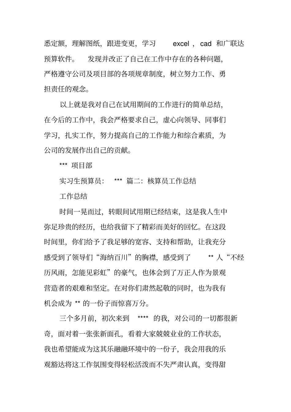 核算员试用期工作总结_第2页