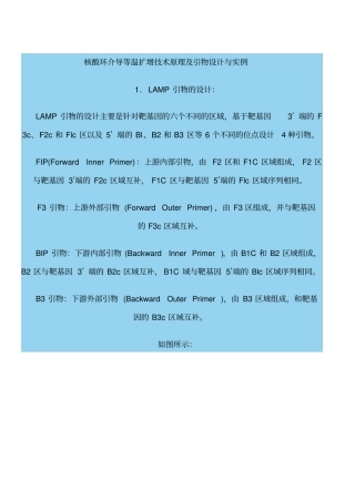 核酸环介导等温扩增技术原理和引物设计和实例
