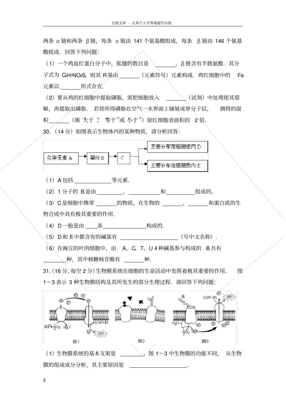 核酸糖类脂质综合练习题_第3页