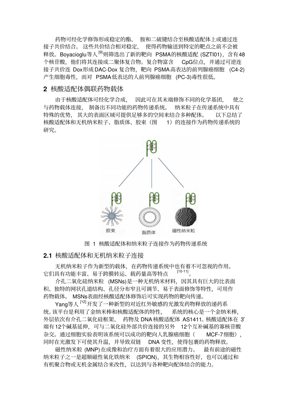 核酸适配体用于肿瘤靶向治疗的研究进展汇总_第3页