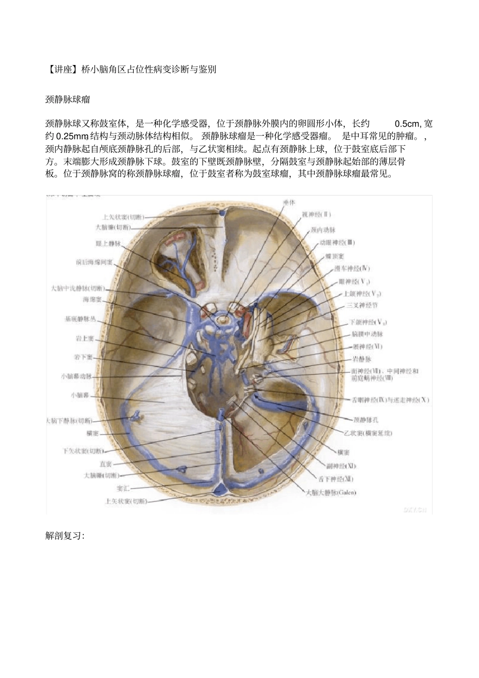 桥小脑角占位性病变诊断与鉴别_第1页