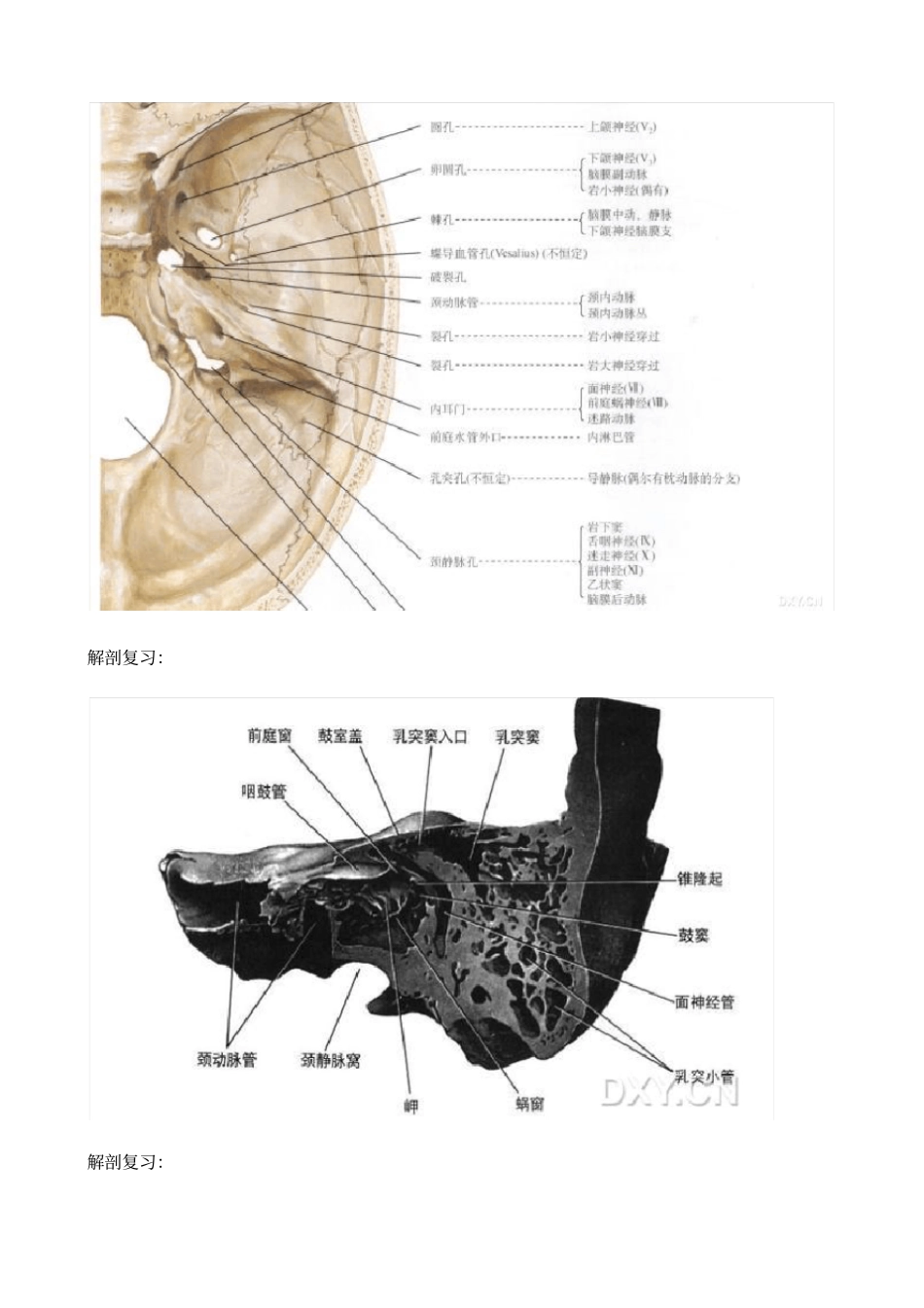 桥小脑角占位性病变诊断与鉴别_第3页