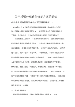 桥梁外观缺陷修复方案1讲述讲解