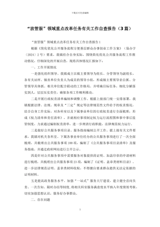 “放管服”领域重点改革任务有关工作自查报告