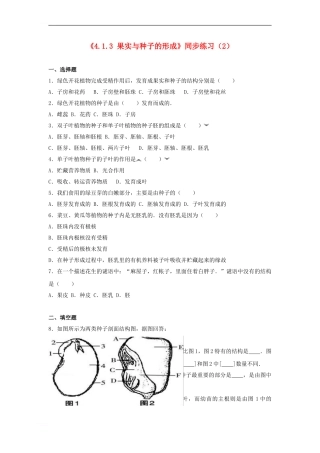 《4.1.3-果实与种子的形成》同步练习