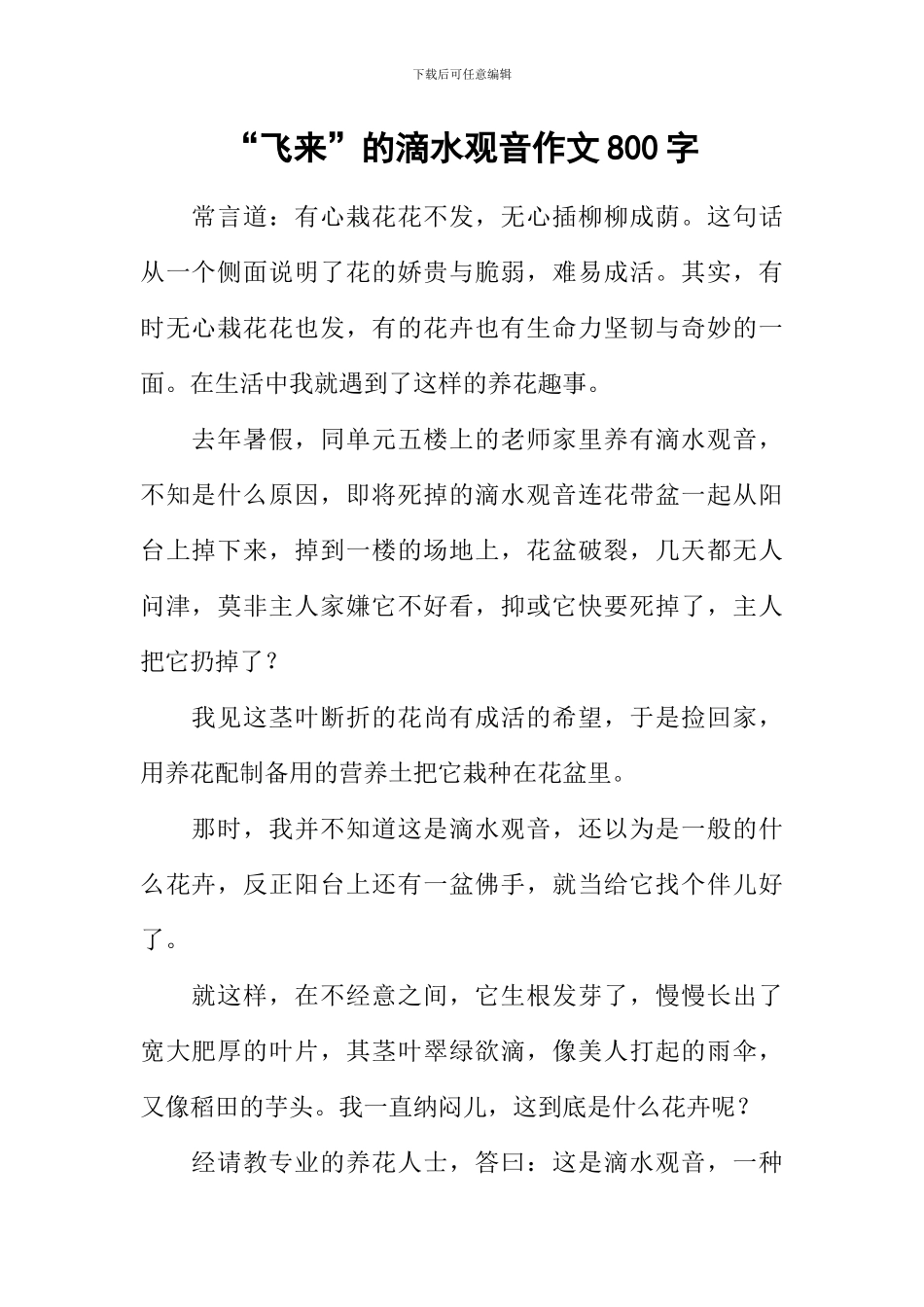 “飞来”的滴水观音作文800字_第1页