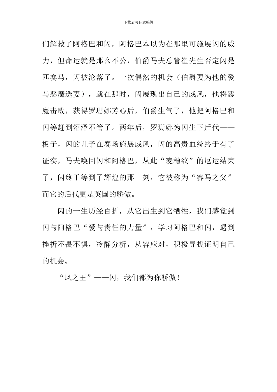 《风之王》读后感1200字_第3页