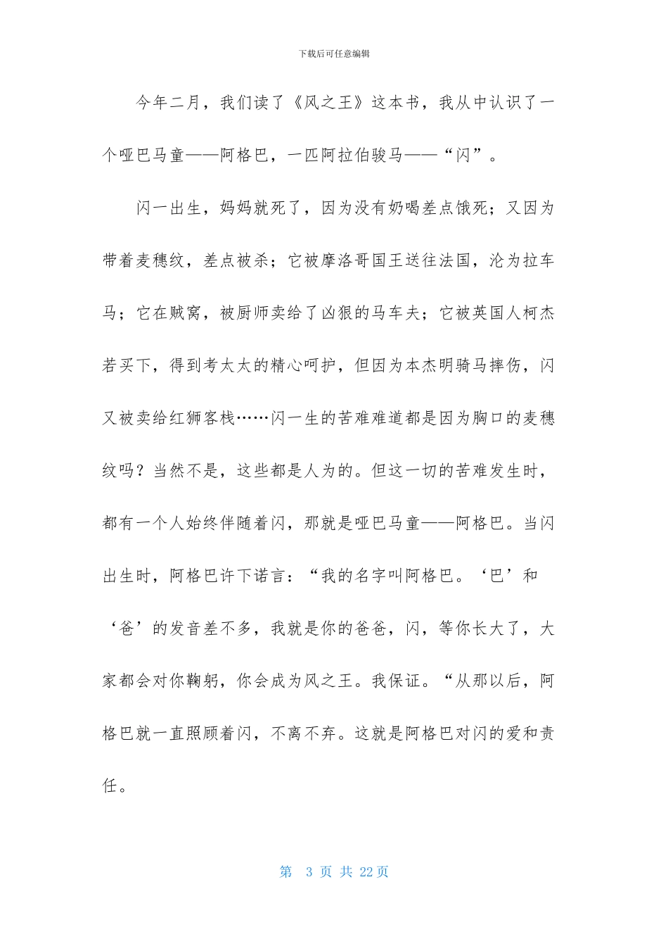 《风之王》读书笔记_第3页