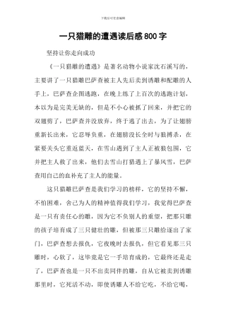 一只猎雕的遭遇读后感800字