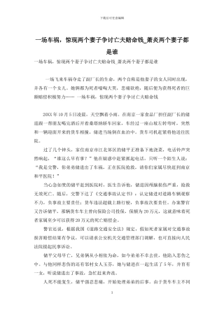 一场车祸-惊现两个妻子争讨亡夫赔命钱-萧炎两个妻子都是谁