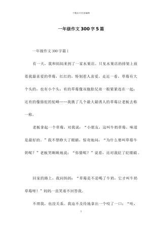 一年级作文300字5篇