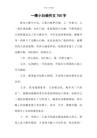 一棵小白杨作文700字