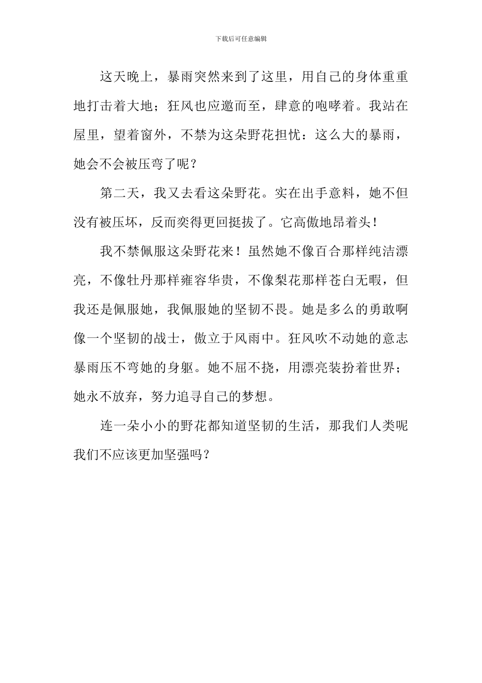 一朵野花牵动了我的情思作文600字_第2页