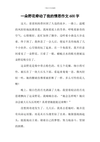 一朵野花牵动了我的情思作文600字