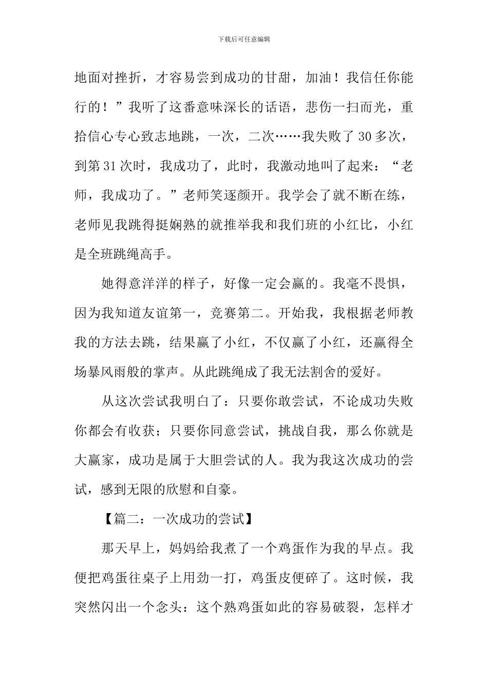 一次成功的尝试作文500字_第2页