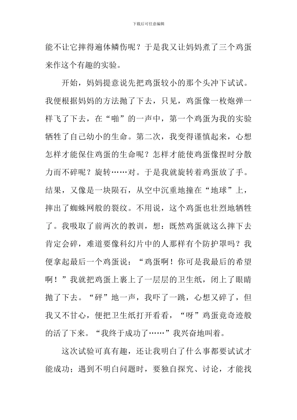 一次成功的尝试作文500字_第3页