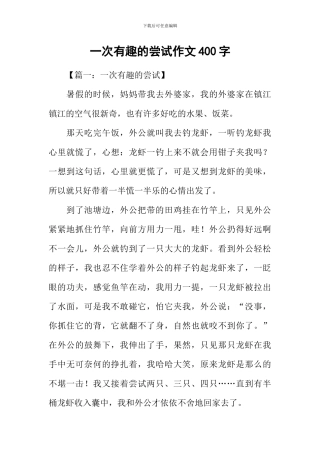 一次有趣的尝试作文400字