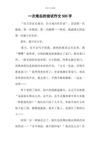 一次难忘的尝试作文500字-1