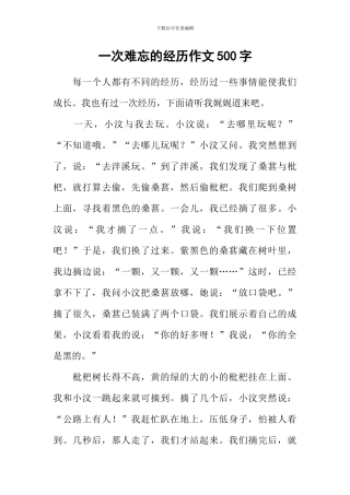 一次难忘的经历作文500字