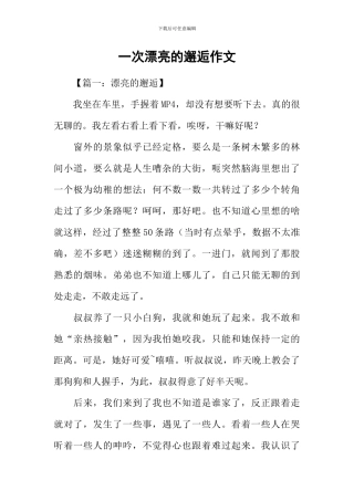 一次美丽的邂逅作文-1