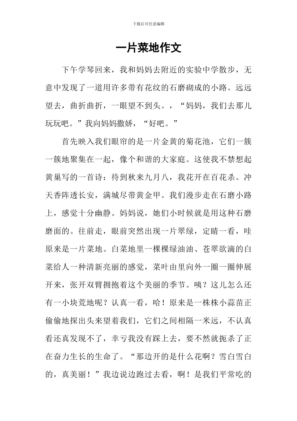 一片菜地作文_第1页
