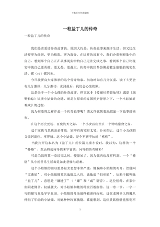 一粒盐丁儿的传奇