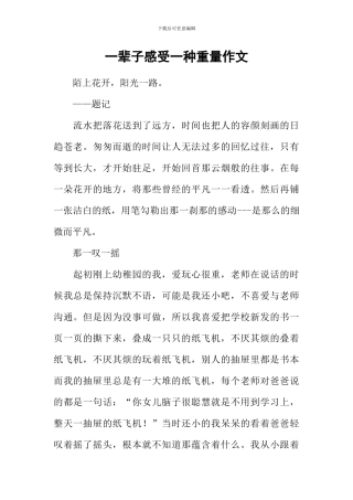 一辈子感受一种重量作文