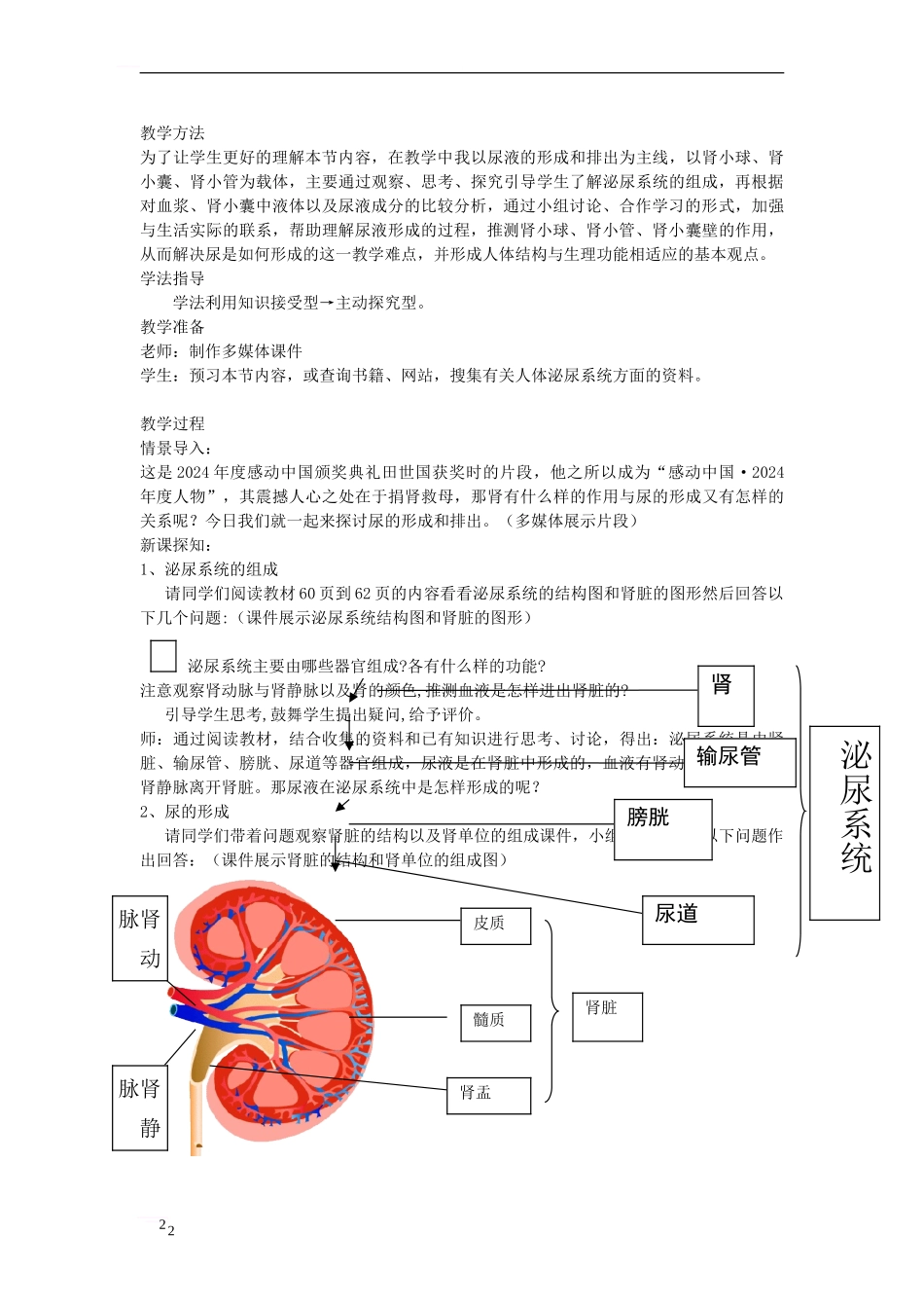 七年级生物下册-3-4-1-尿液的形成和排出教案-济南版_第2页