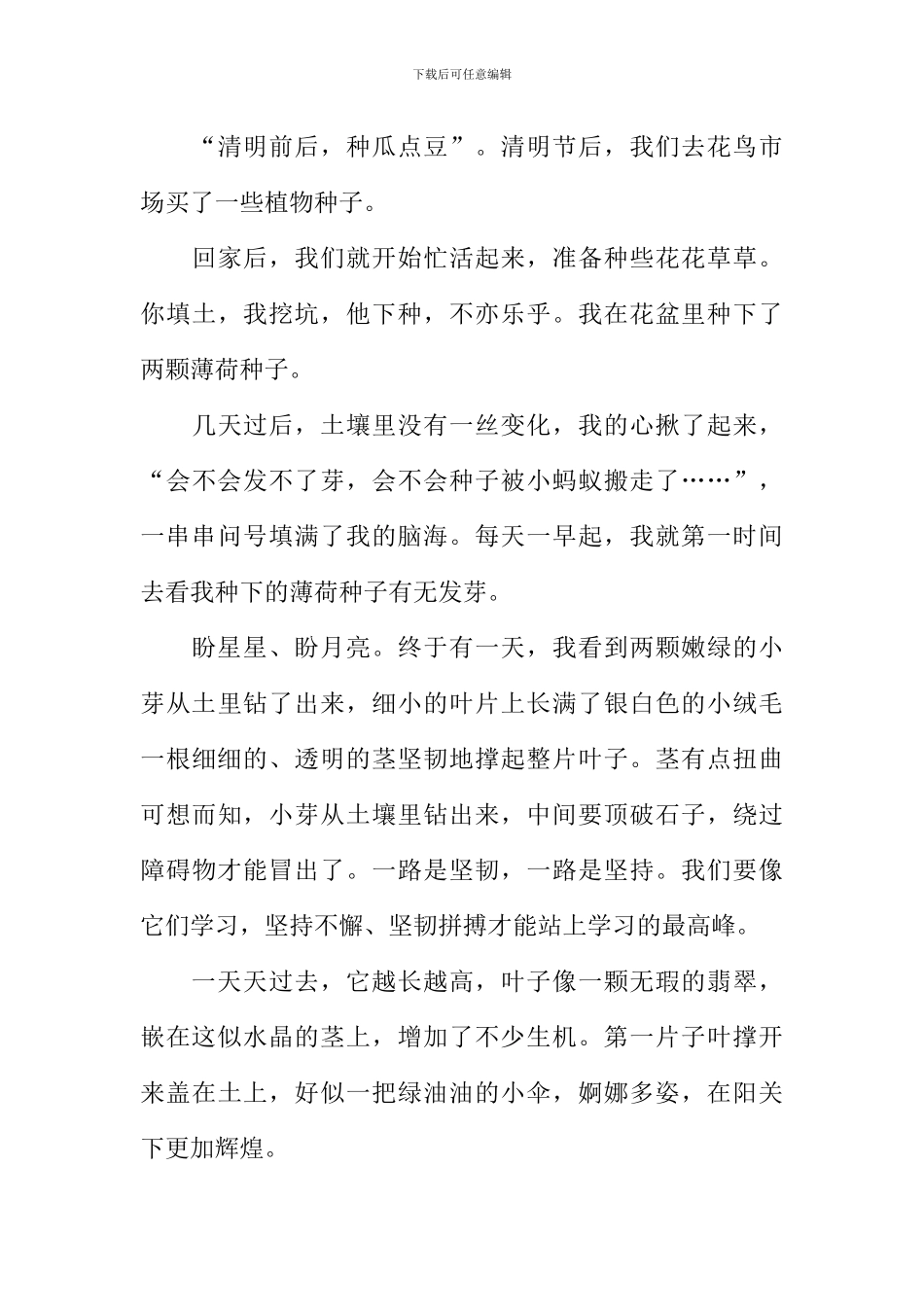 三年级植物作文300字_第3页