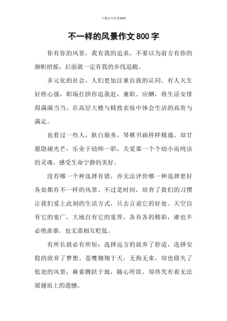 不一样的风景作文800字-2