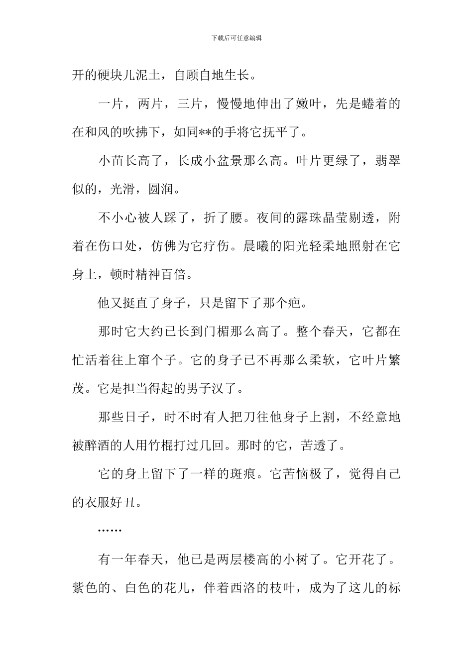 不曾停息作文_第3页