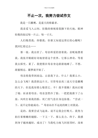 不止一次-我努力尝试作文