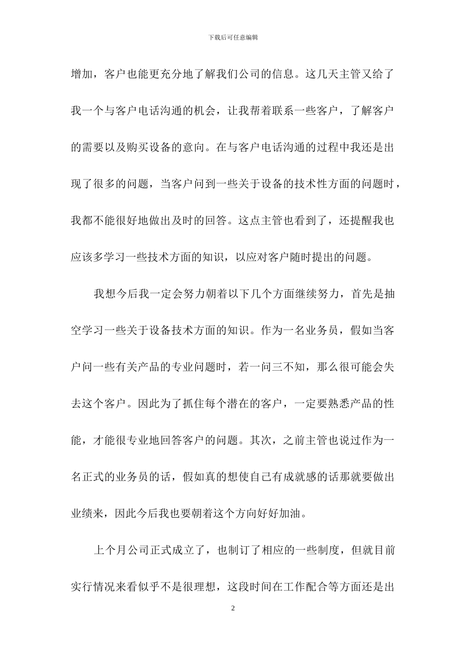 业务员的年工作总结_第2页