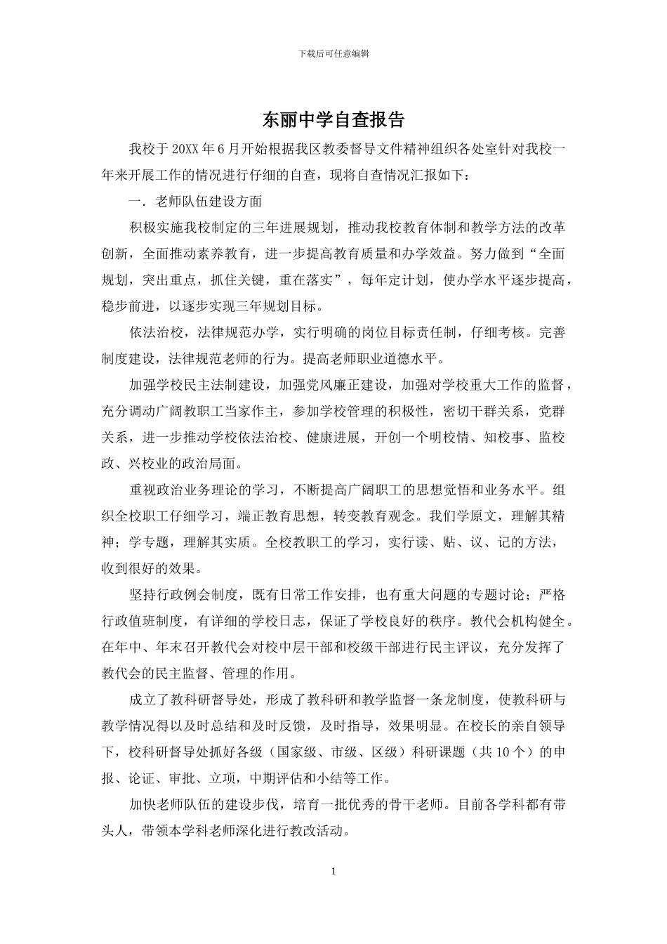 东丽中学自查报告_第1页