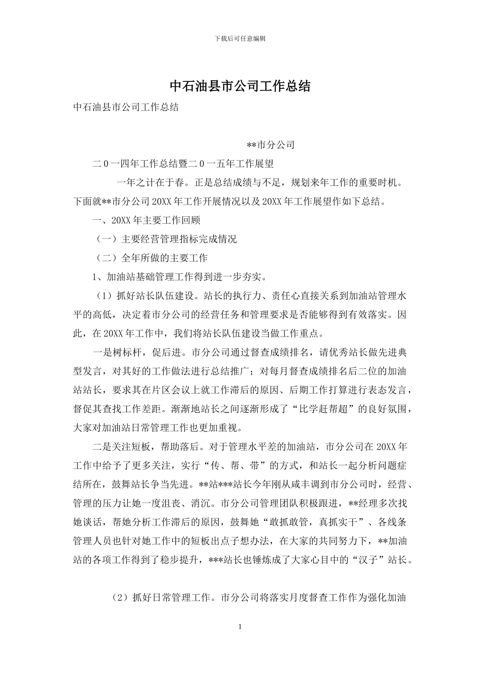 中石油县市公司工作总结_第1页