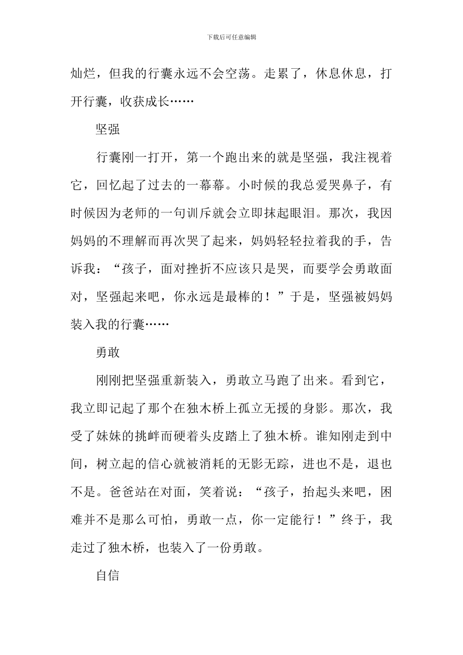 中考作文我的行囊_第3页