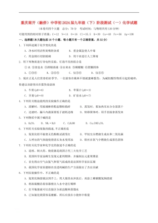 九年级化学下学期阶段测试试题