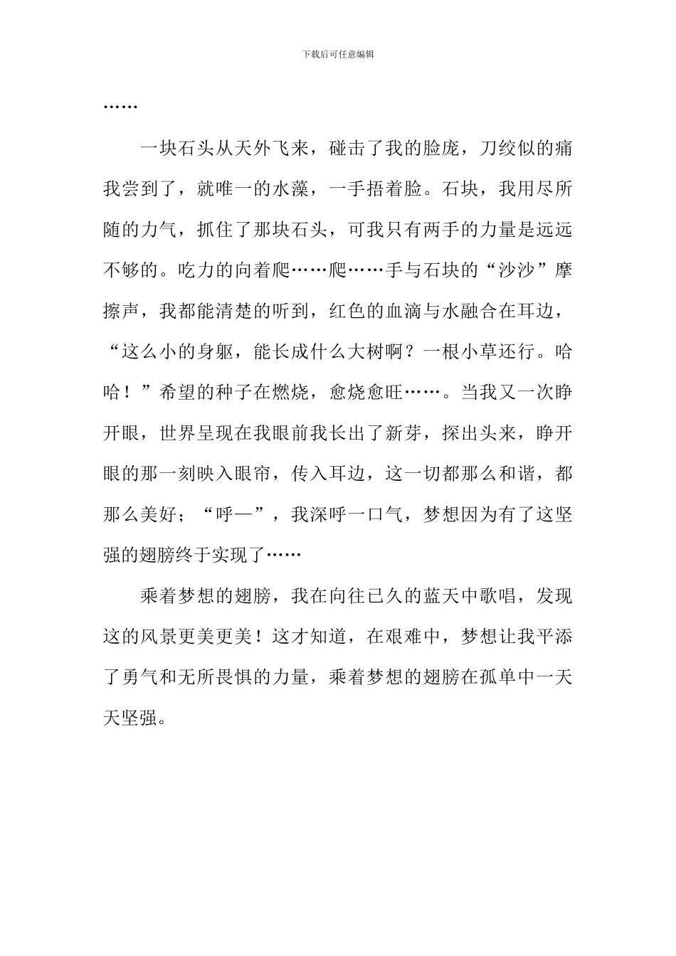乘着梦想的翅膀作文-1_第3页