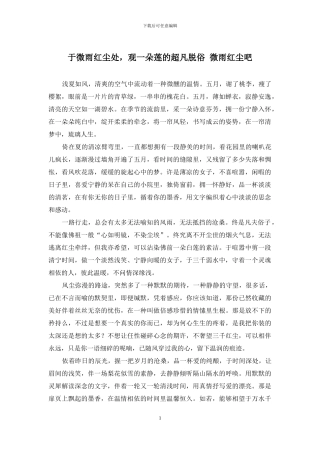 于微雨红尘处-观一朵莲的超凡脱俗-微雨红尘吧